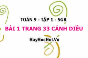 Bài 1 trang 33 Toán 9 tập 1 Cánh Diều